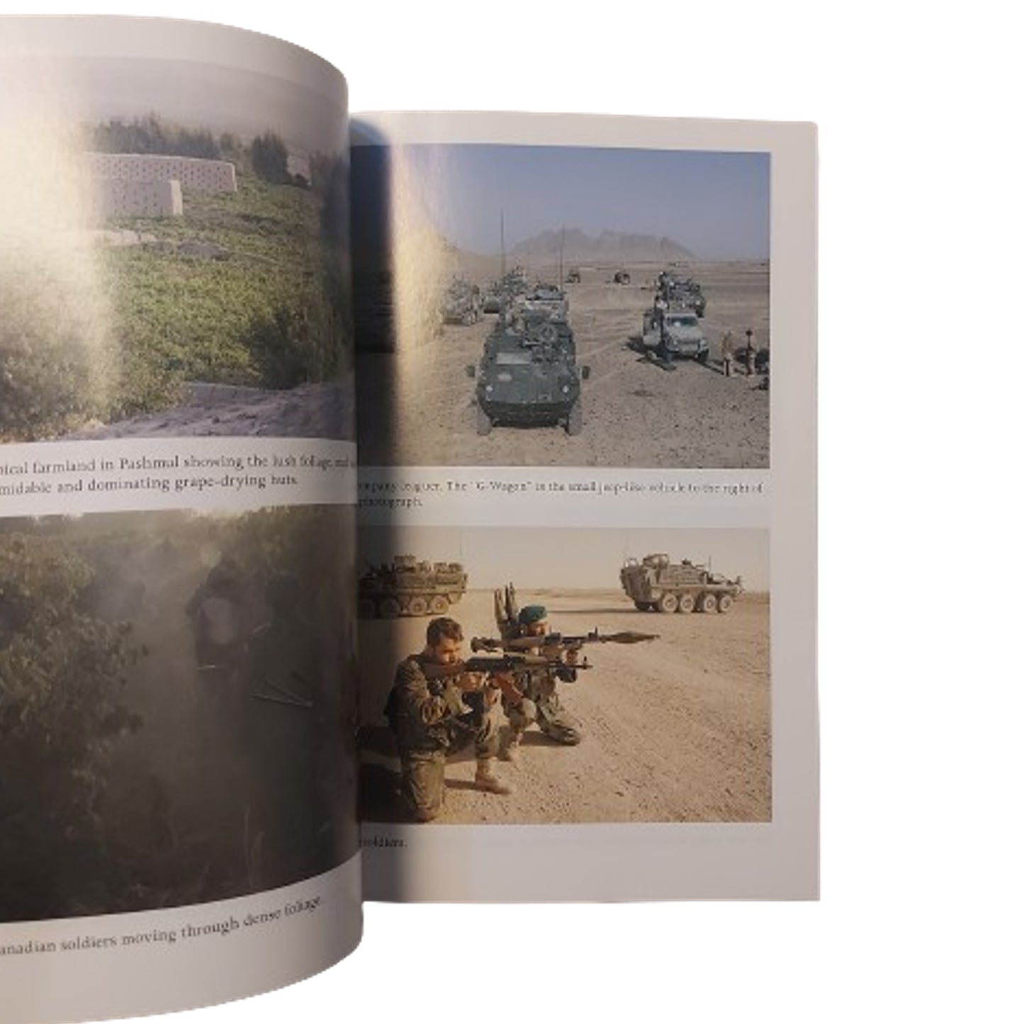 No Lack Of Courage -Operation Medusa, Afghanistan