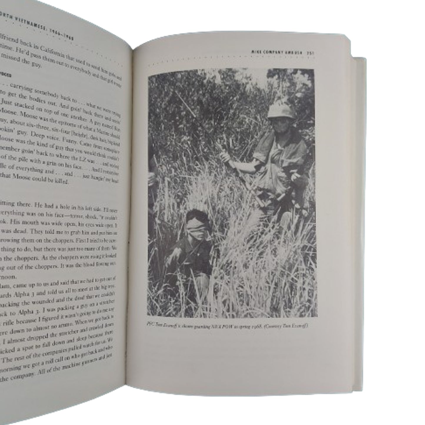 No Shining Armor -The Marines At War In Vietnam