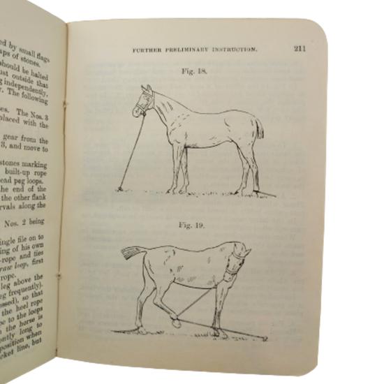 Named Pre-WW1 Manual - Cavalry Training 1912