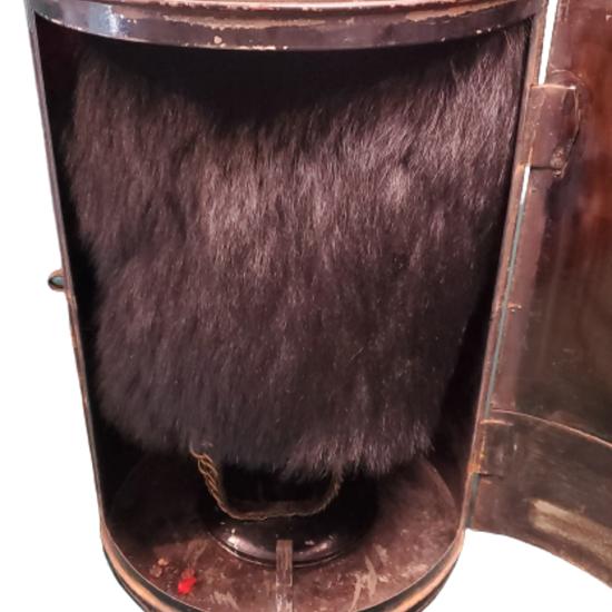 Victorian British Officer's Bearskin Hat In Carrier