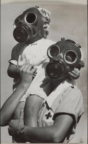 WW2 British Civil Defence Gas Mask In Carry Bag 1942
