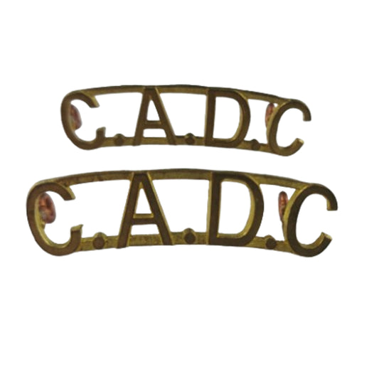 WW2 Canadian CADC Canadian Army Dental Corps Brass Shoulder Title Pair