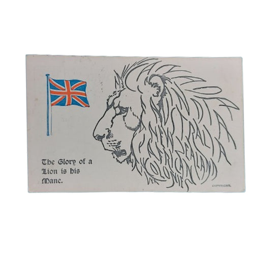 WW1 British Post Card -The Glory Of A Lion Is His Mane