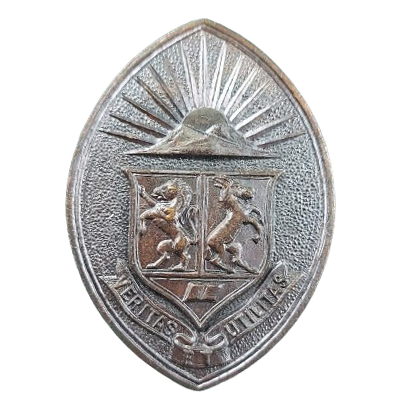 WW2 Canadian COTC University of Western Ontario COTC Cap Badge