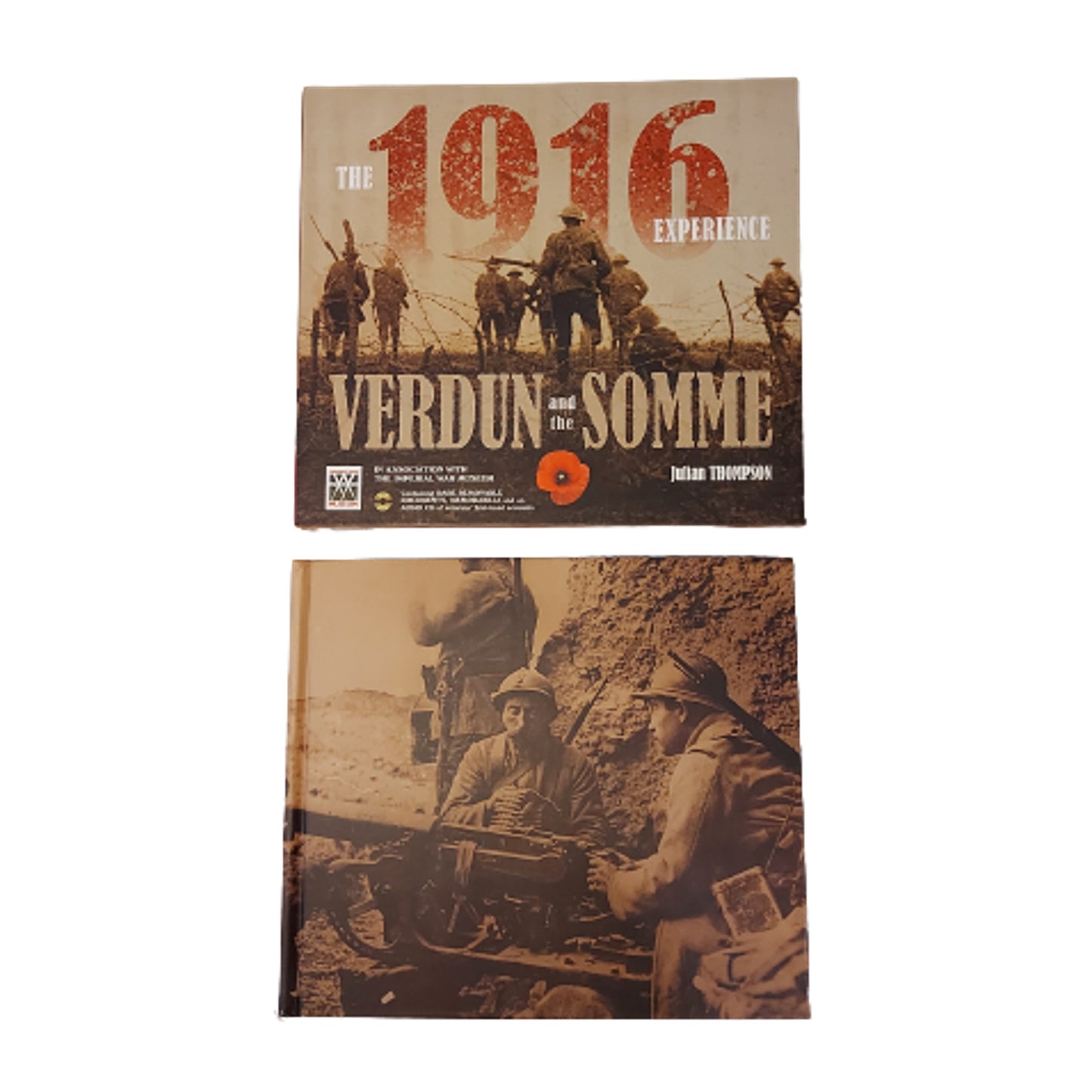 The 1916 Experience -Verdun And The Somme