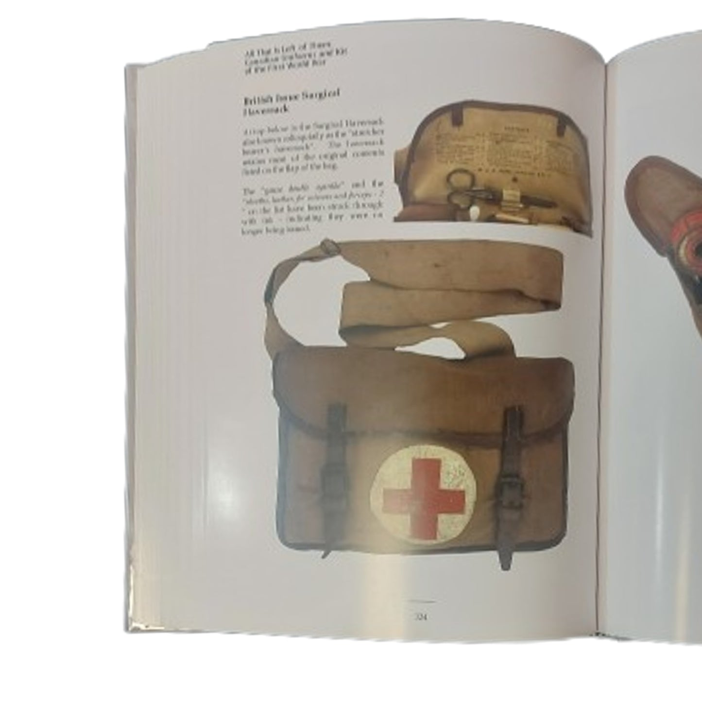 WW1 Canadian CEF All That is Left of Them New Hardcover Reference Book