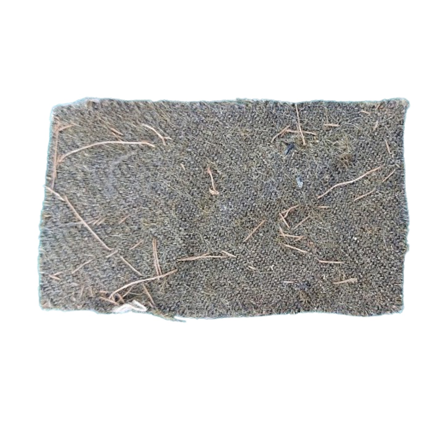 WW1 Canadian British Physical Training Instructor Uniform Insignia Trade Badge