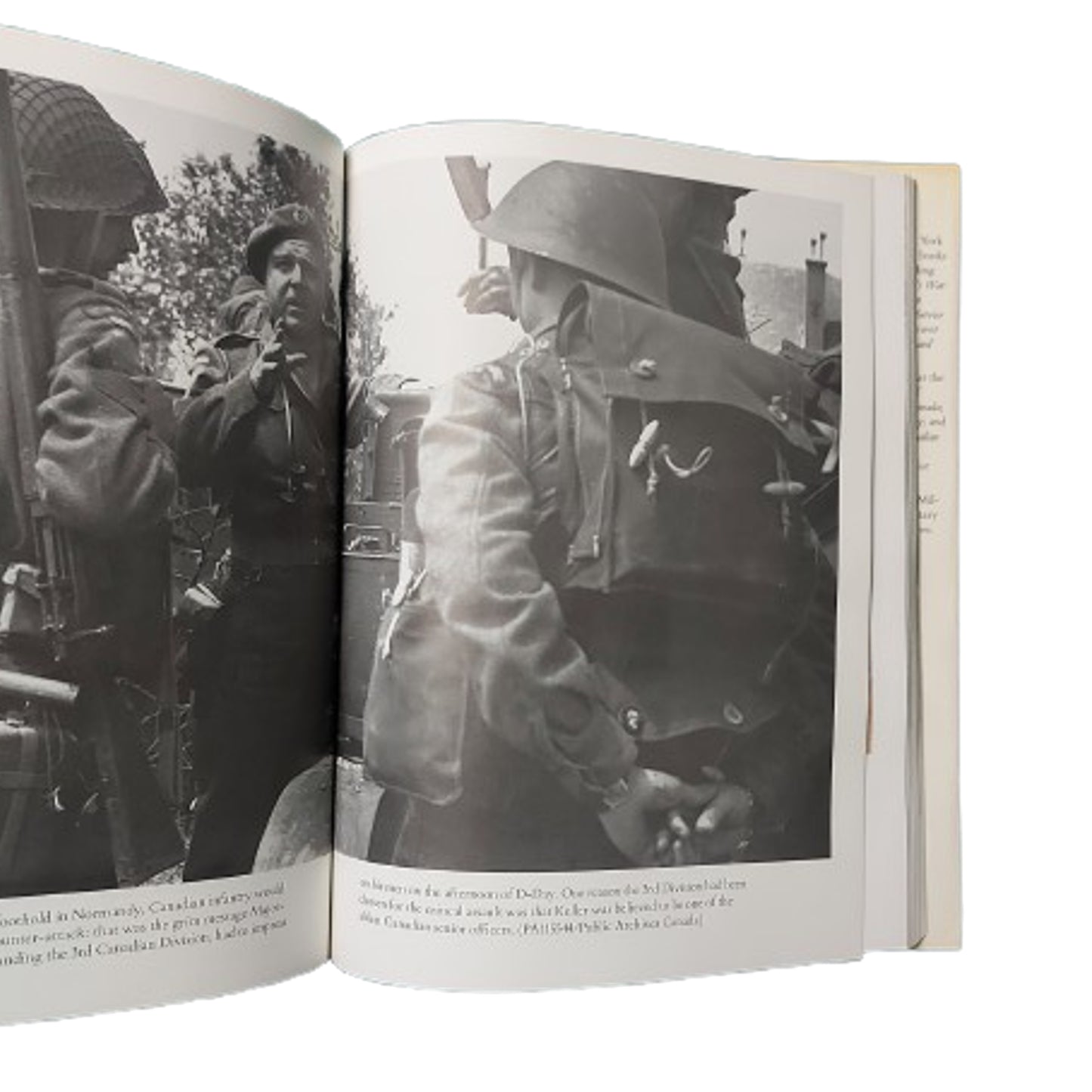 Bloody Victory Book