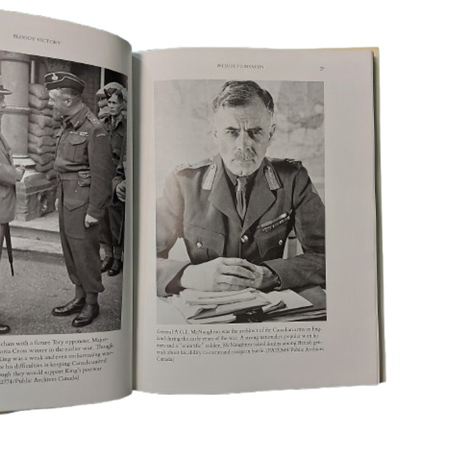 Bloody Victory Book