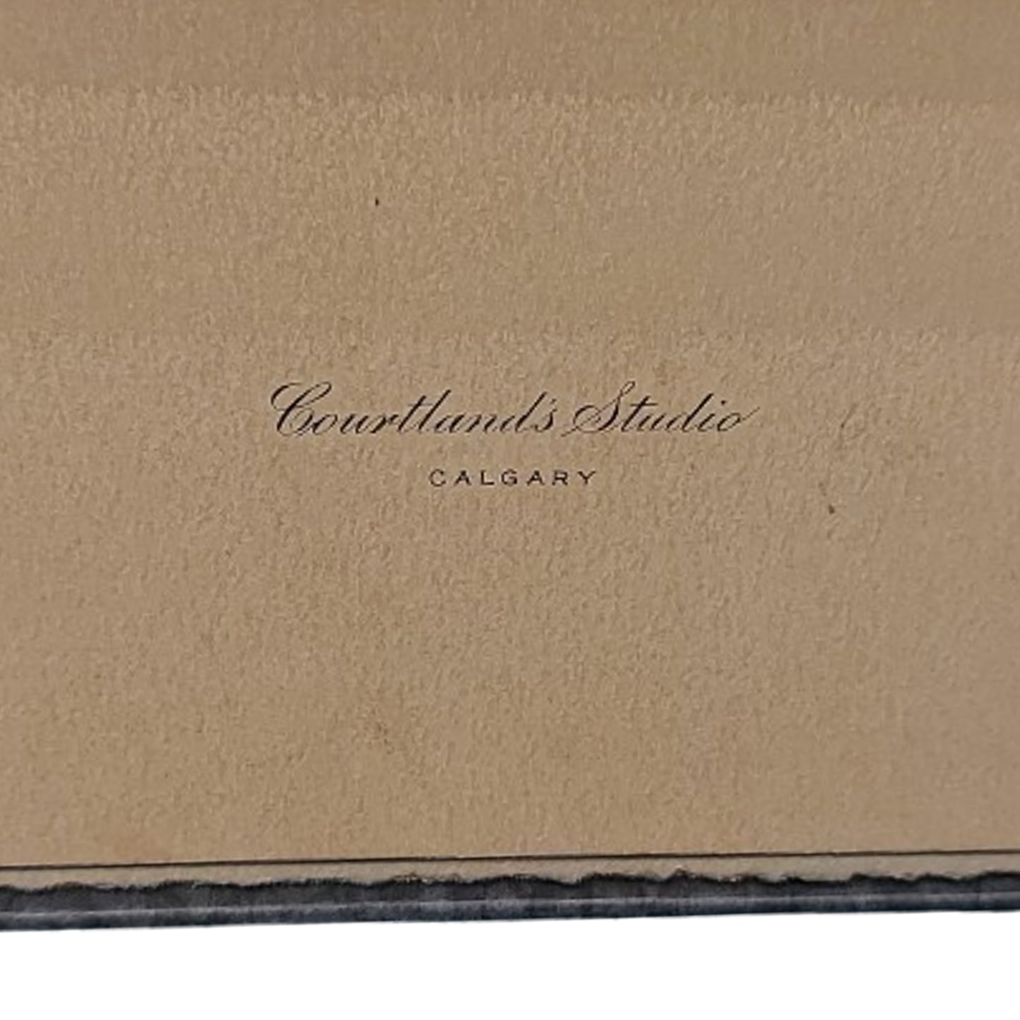 WW2 Canadian RCAF Royal Canadian air Force Color Photo In Holder
