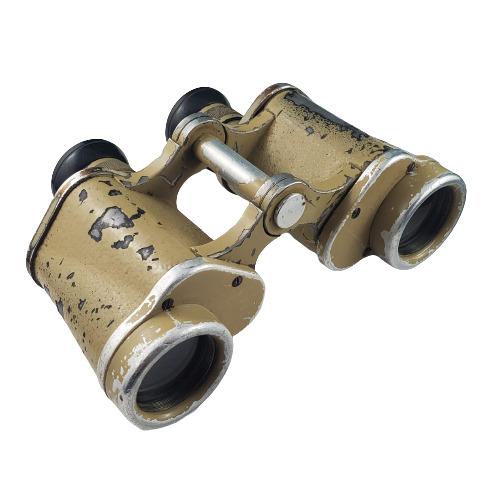 WW2 German Army Dienstglas 6 x 30 Field Binoculars