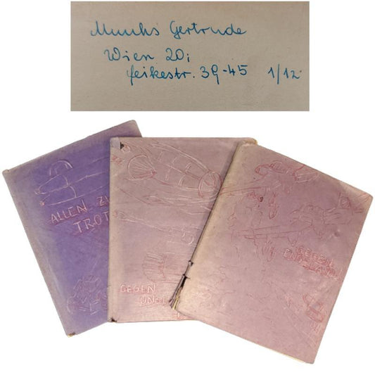 Set Of 3 WW2 German Handwritten And Illustrated War Diaries-Scrapbooks