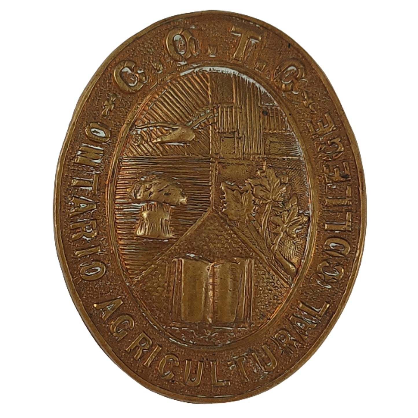WW1 COTC Ontario Agricultural College Contingent Cap Badge - Ellis 1916